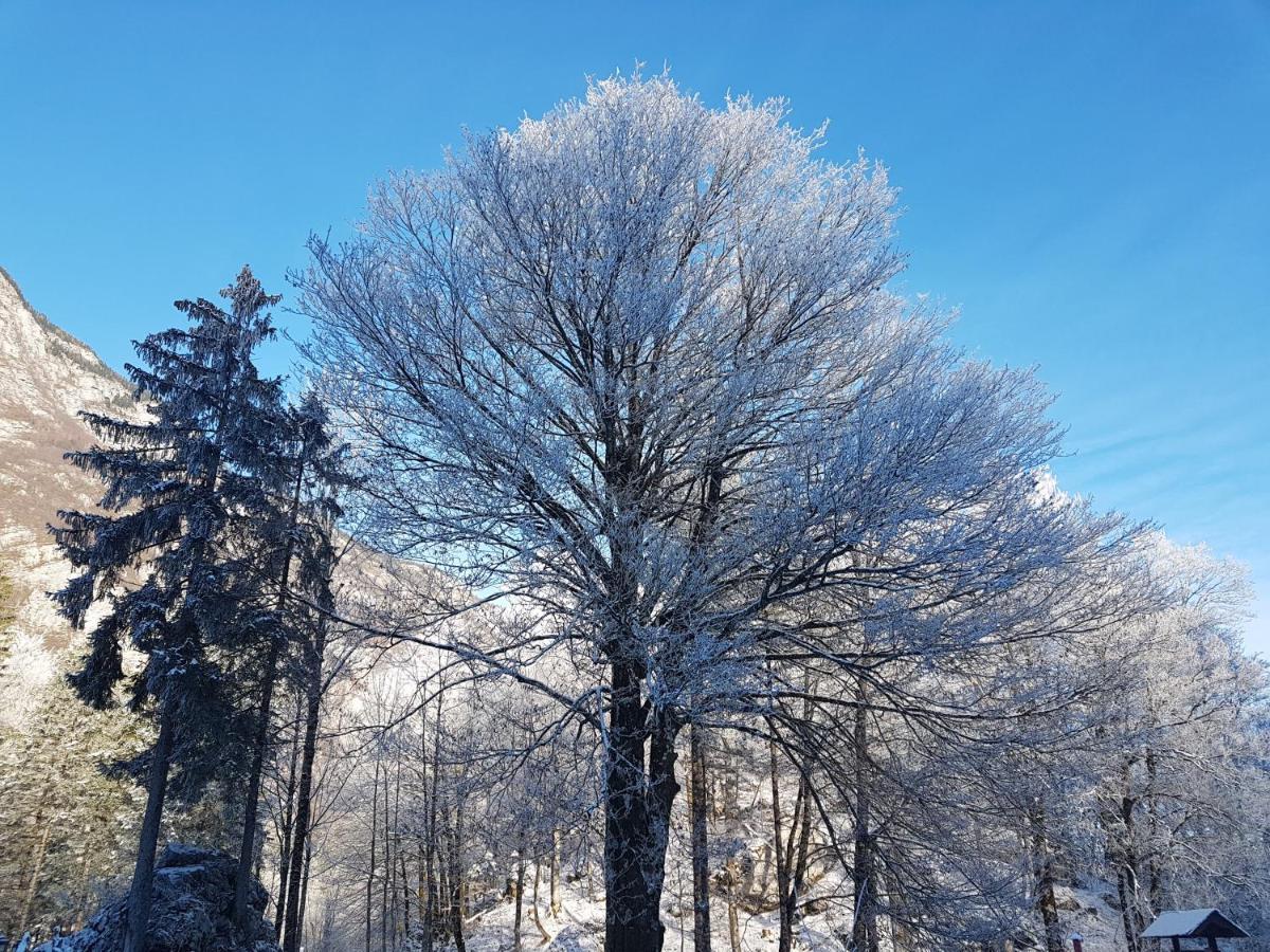 Hisa Erlah Hotel Bohinj Luaran gambar