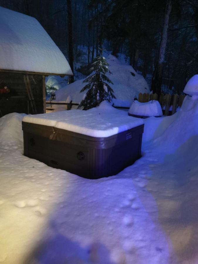 Hisa Erlah Hotel Bohinj Luaran gambar